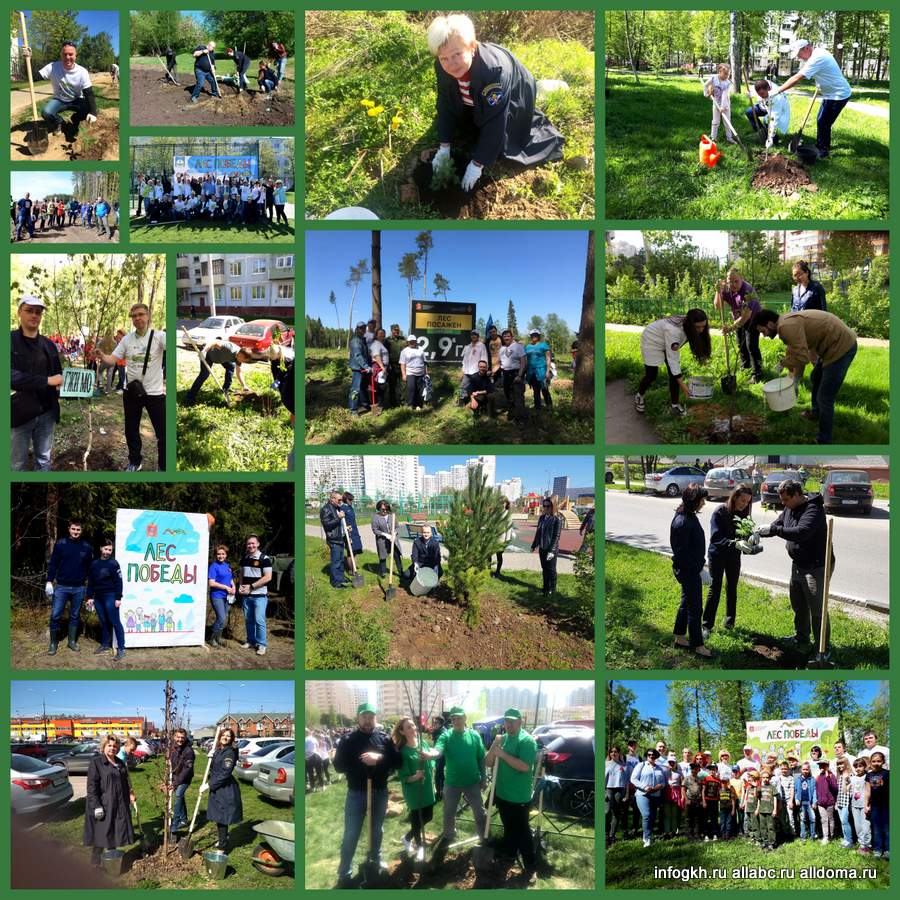 Эколого-патриотическая акция «Лес Победы» прошла 12 мая!